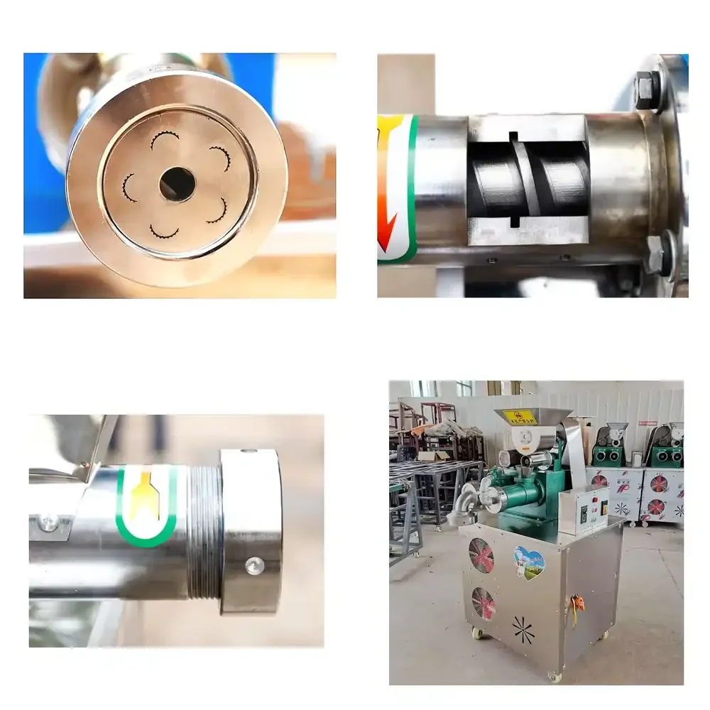 

Manufacturer Pasta Machine Price India