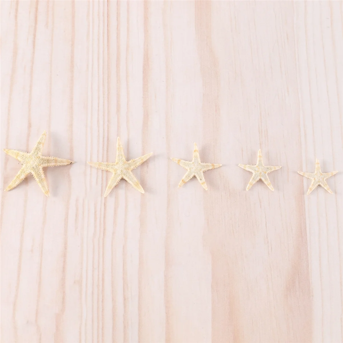 

Small Starfish Star Sea Shell Beach Craft 0.4 inch-1.2 inch 90 Pcs