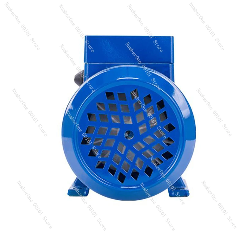 220V/110V Cast Iron Self Priming Centrifugal Water Pump High Pressure Booster Pump Well pumping self-priming pump 370W