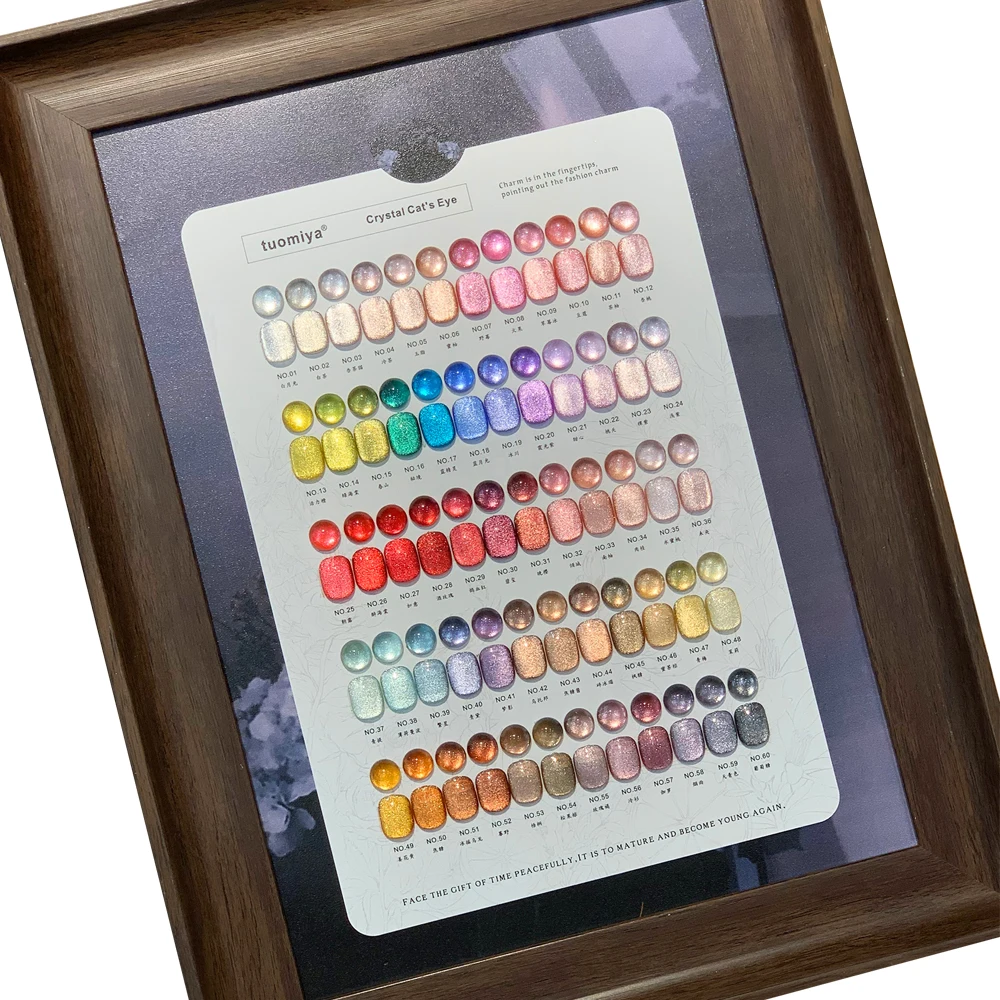 

TUOMIYA 2025 New Hot Sale Fashion Nail Art Kit 60 Colors Crystal Cat's Eye Non-Toxic UV Gel Nail Salon Set Wholesale