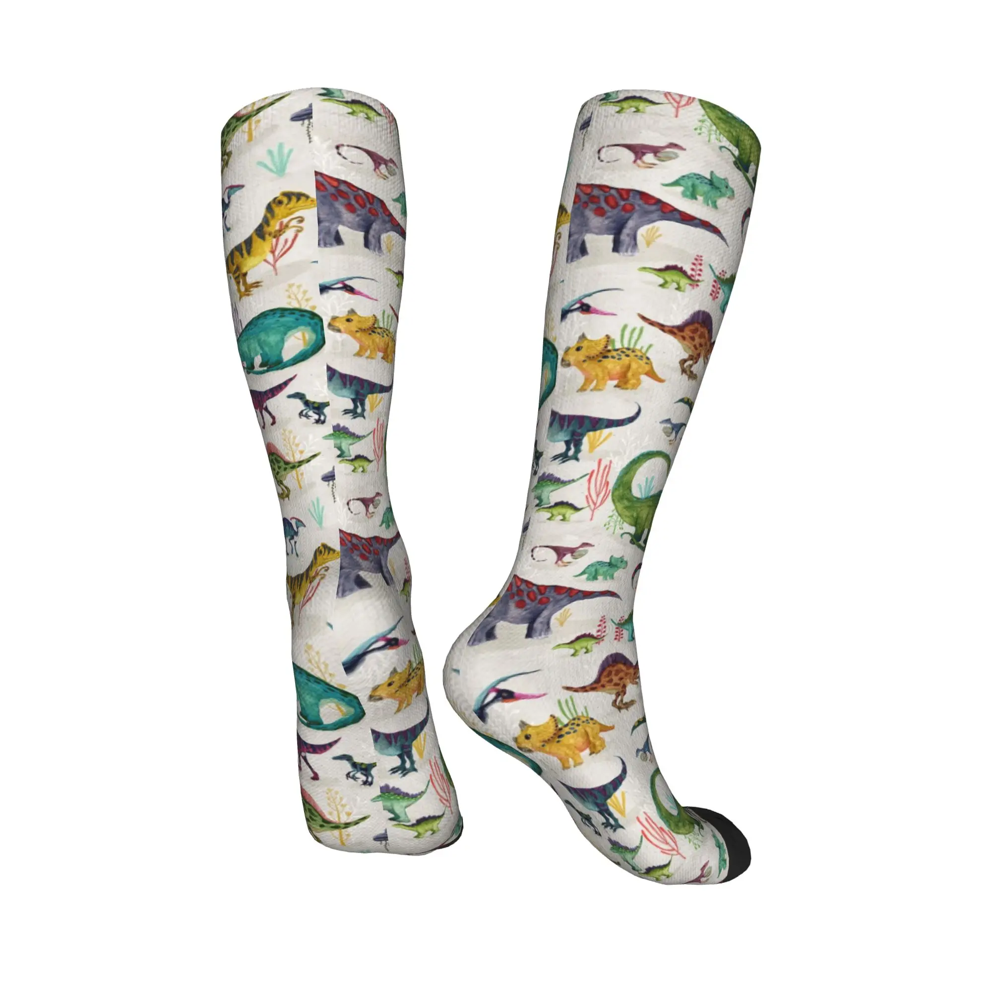 Alle seizoenen Crew Kousen Heldere Dinosaurussen Sokken Harajuku Mode Hip Hop Lange Sokken Accessoires voor Mannen Vrouwen Verjaardagscadeau