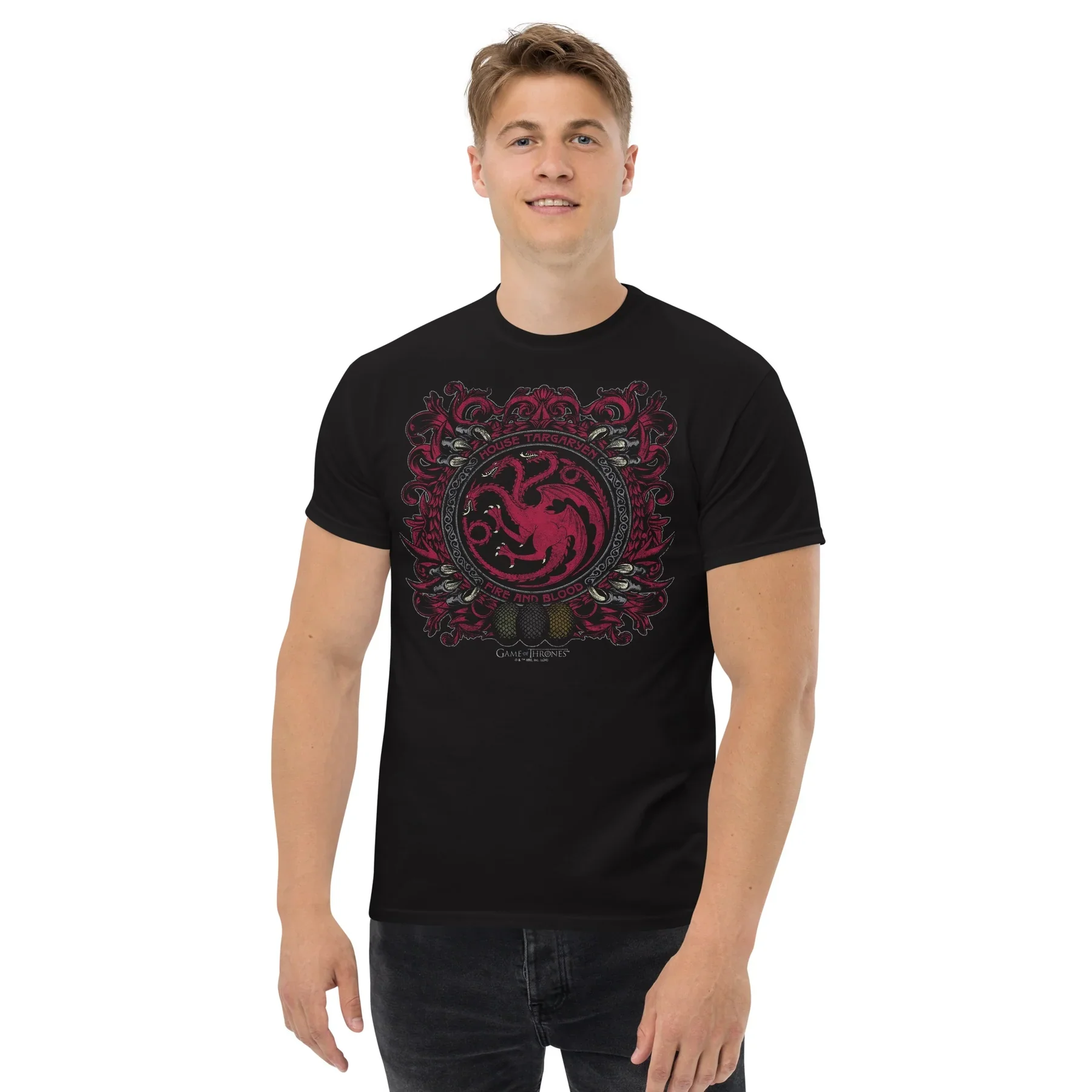 Camiseta con sigilo de la casa Targaryen de Juego de tronos, moda de primavera, camiseta de algodón puro para hombre, ropa para niños, camiseta Y2k para mujer