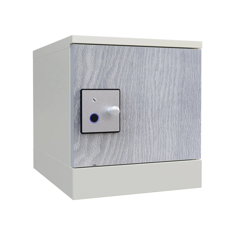 residential mailbox assembly smart locker  building fingerprint cupboard keyless School case Library Gym Office Building