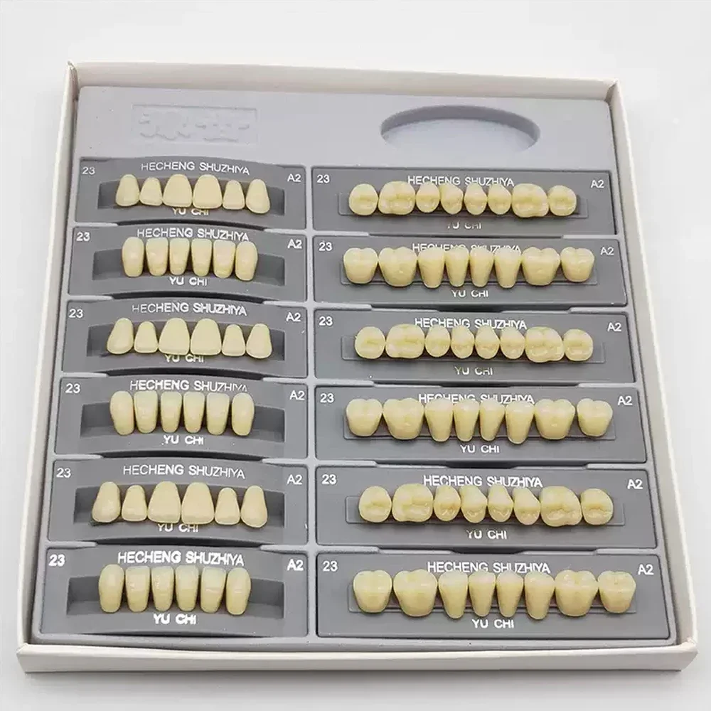 96 Buah/Boks Gigi Resin Sintetis Gigi Multi-lapis Warna Tinggi Tahan Aus Gigi Posterior Anterior Model Pendidikan Gigi