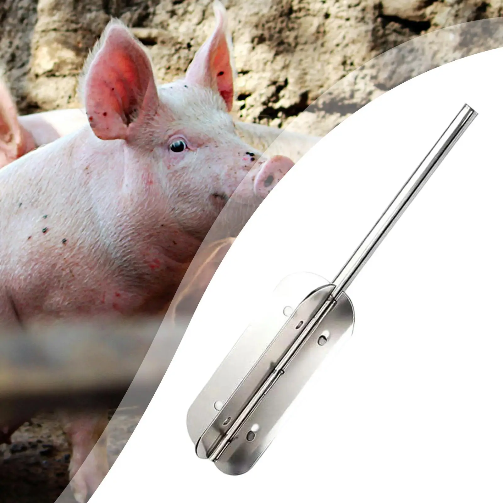 Pigs Hair Remover Animal Hair Removal Tool for Electric Drill Metal Depilating