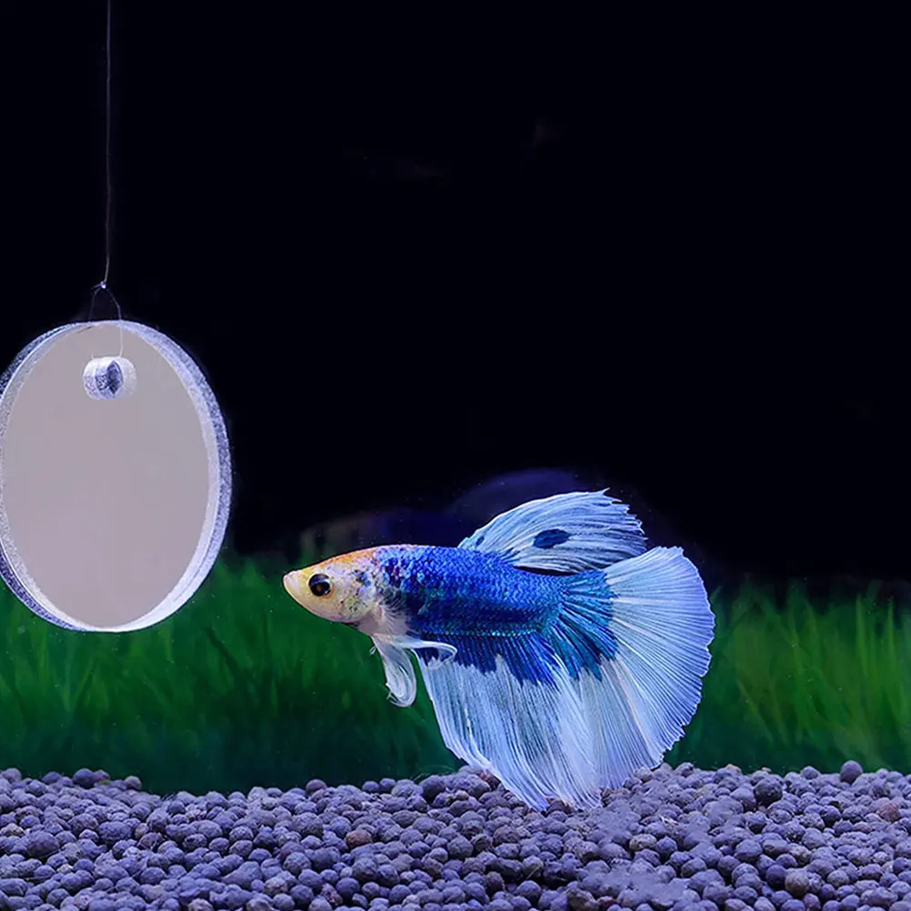 

Betta Fish Training Mirror Floating Aquarium Decorative Accessory For Freshwater Saltwater
