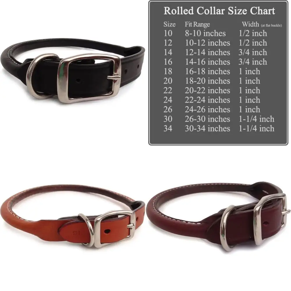 ياقة كلب جلدية ملفوفة باللون الأسود - 24 بوصة، متينة ومريحة للاستخدام اليومي