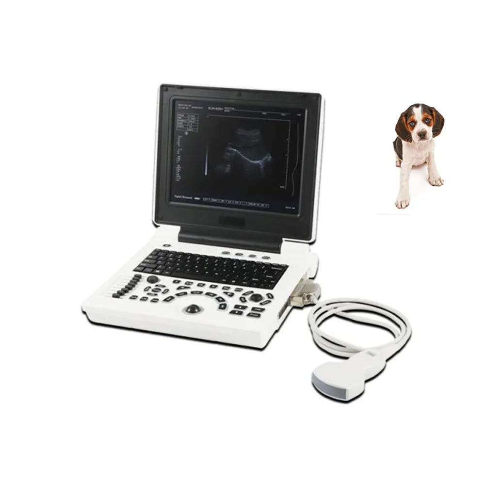 

Medical SUN-806H CE Approved Portable Laptop Vet Pet Animal Veterinary Ultrasound Dog