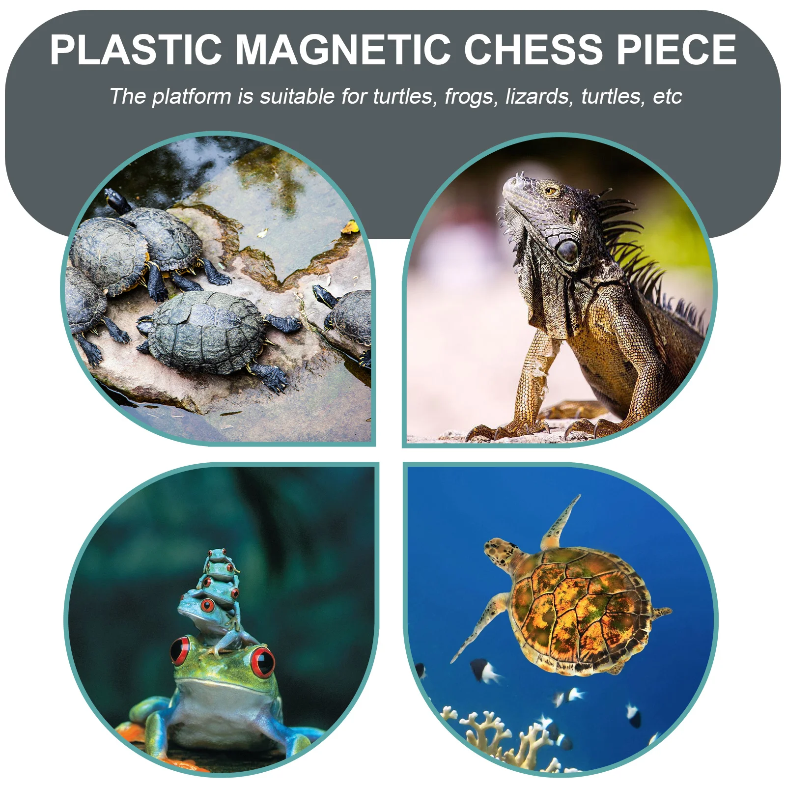 

1Pcs Turtle Basking Platform Durable Plastic Tortoise Terrace Resting Sunbathing Fish Tank Accessory Turtle Climbing Island