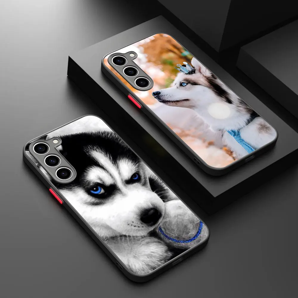 Animal Husky Cool P… - image