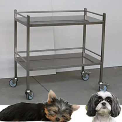 

Aeolus Animal Deluxe Mobile Tool Cart with Cabinet Pet Veterinary Tool SS Instrument Trolley 900mm with Rails