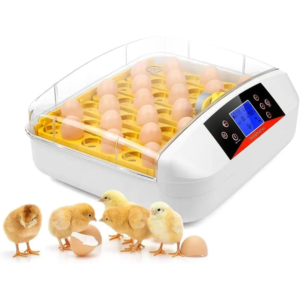 

41-Egg Capacity Huity Display Hatcher with Candler & Automatic Turner for Breeding Chickens