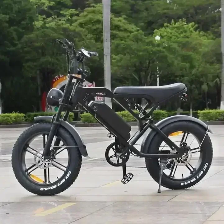 Newly V20Pro electric bicycle 1000W 48V 15AH ebike , 20 inch electric fat tire electric city mountain bike