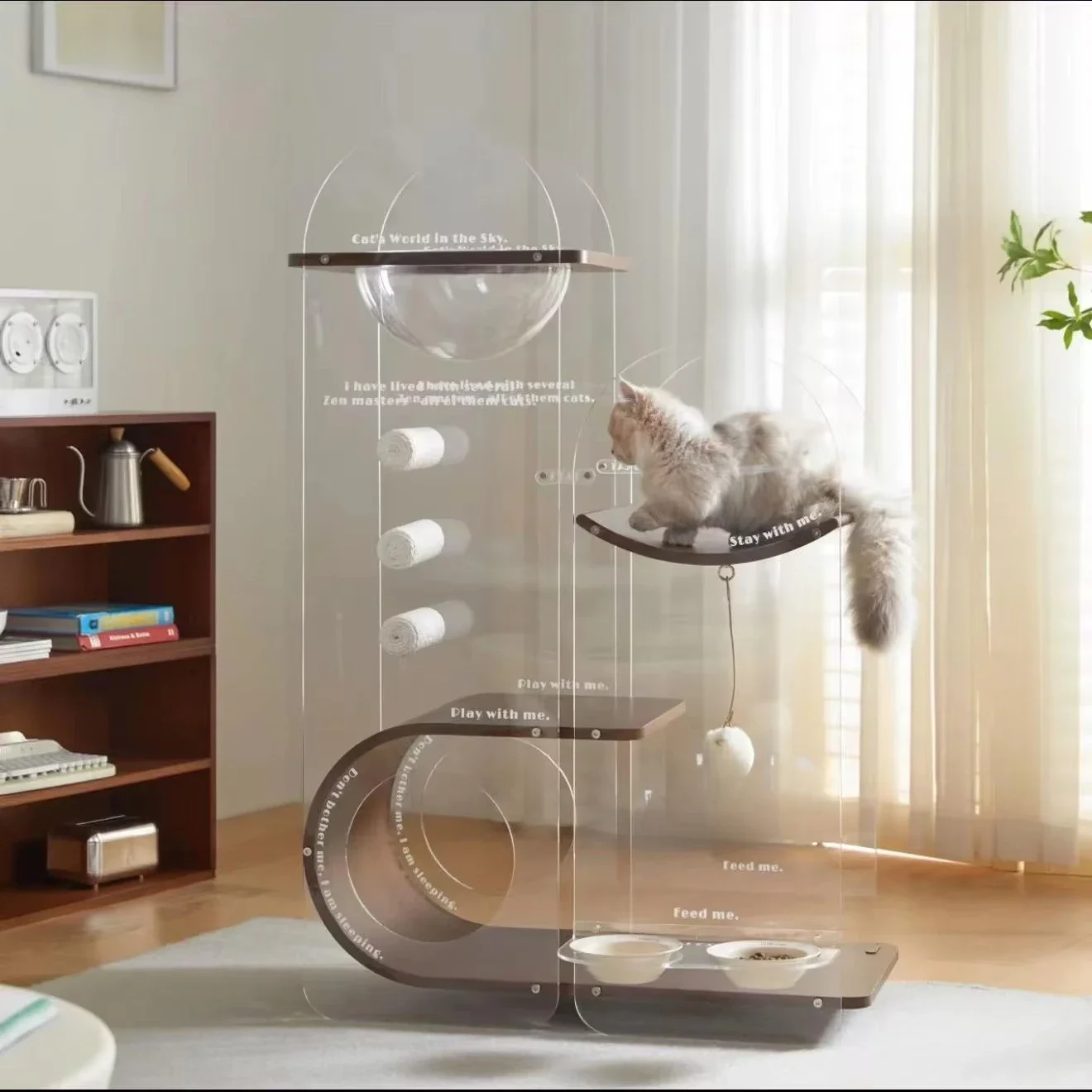 

-Cloud, современная акриловая рама для лазанья из цельного дерева для кошек, стойка для чаши для гостиной, средняя кремовая космическая капсула