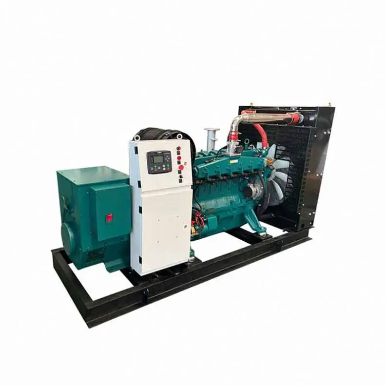 مجموعة مولد الغاز الحيوي للمزرعة ، مشروع 400kW ، 1mw-5 mw