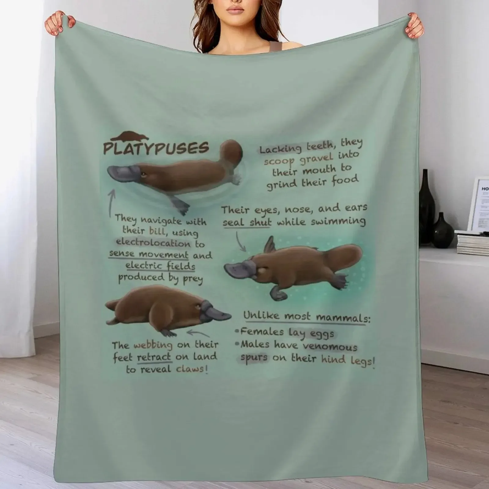 

Плед с забавными фактами о плоскогубцах, роскошный брендовый мягкий большой плед на заказ