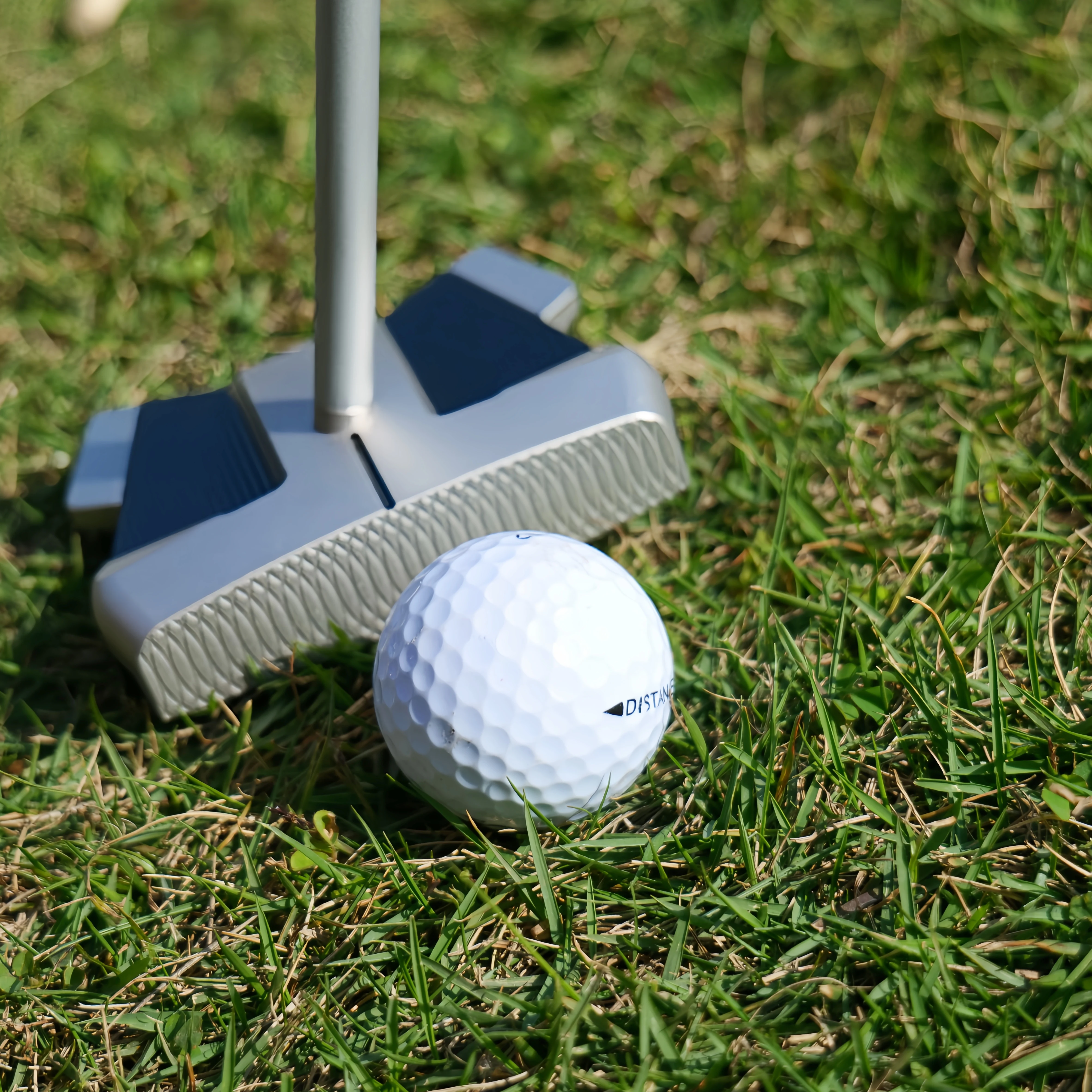 Lashonda LA-10 OC Putter, Cent - đánh giá và giá Golf Equipment Store