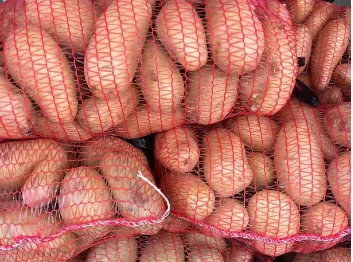 2025 Borsa a rete per frutta e verdura del produttore Design a rete lavorata a maglia per prodotti in plastica agricola