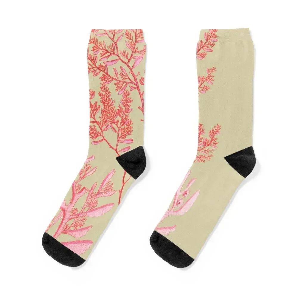 

Algae Seaweed of the southern ocean pink watercolor Socks cartoon Lots set Socks For Girls Men's