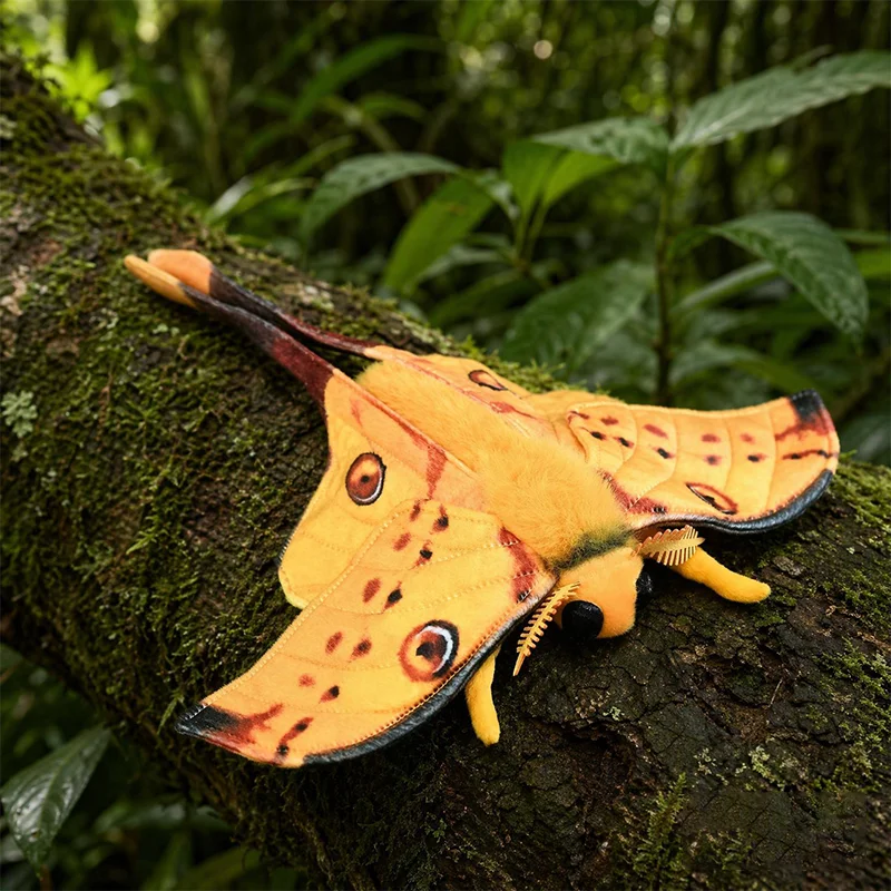 20CM Cute Simulation Comet Moth Argema Mittrei Plush Toys Realistic Soft Moth Insect Animals Plushies Doll Fan Kid Birthday Gift