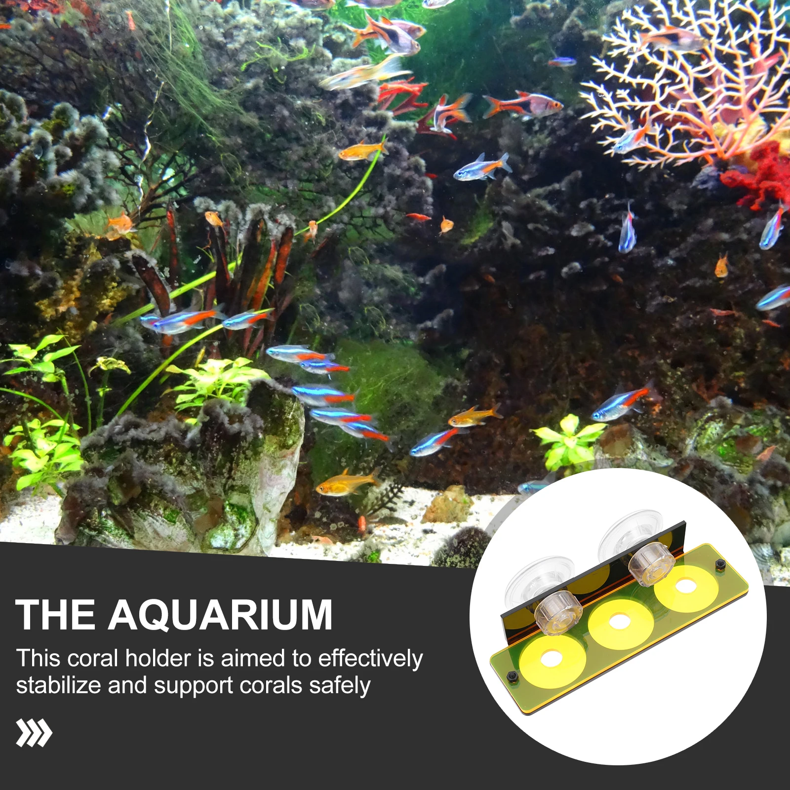 

Fluorescent Holder Acrylic Fish Tank Reef Rack Multi-Slot Suction Cup Coral Bracket For Live Coral Display Rack