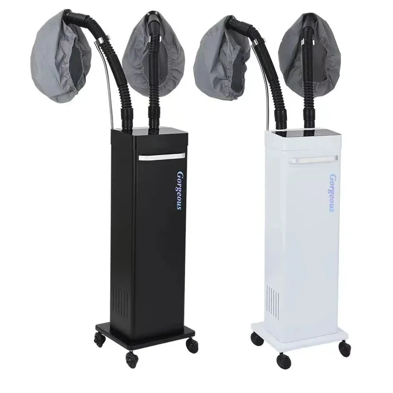Negative Ion Micro Spray Steamer Sterilization Scalp Care Hair Color Fixing Machine 2026