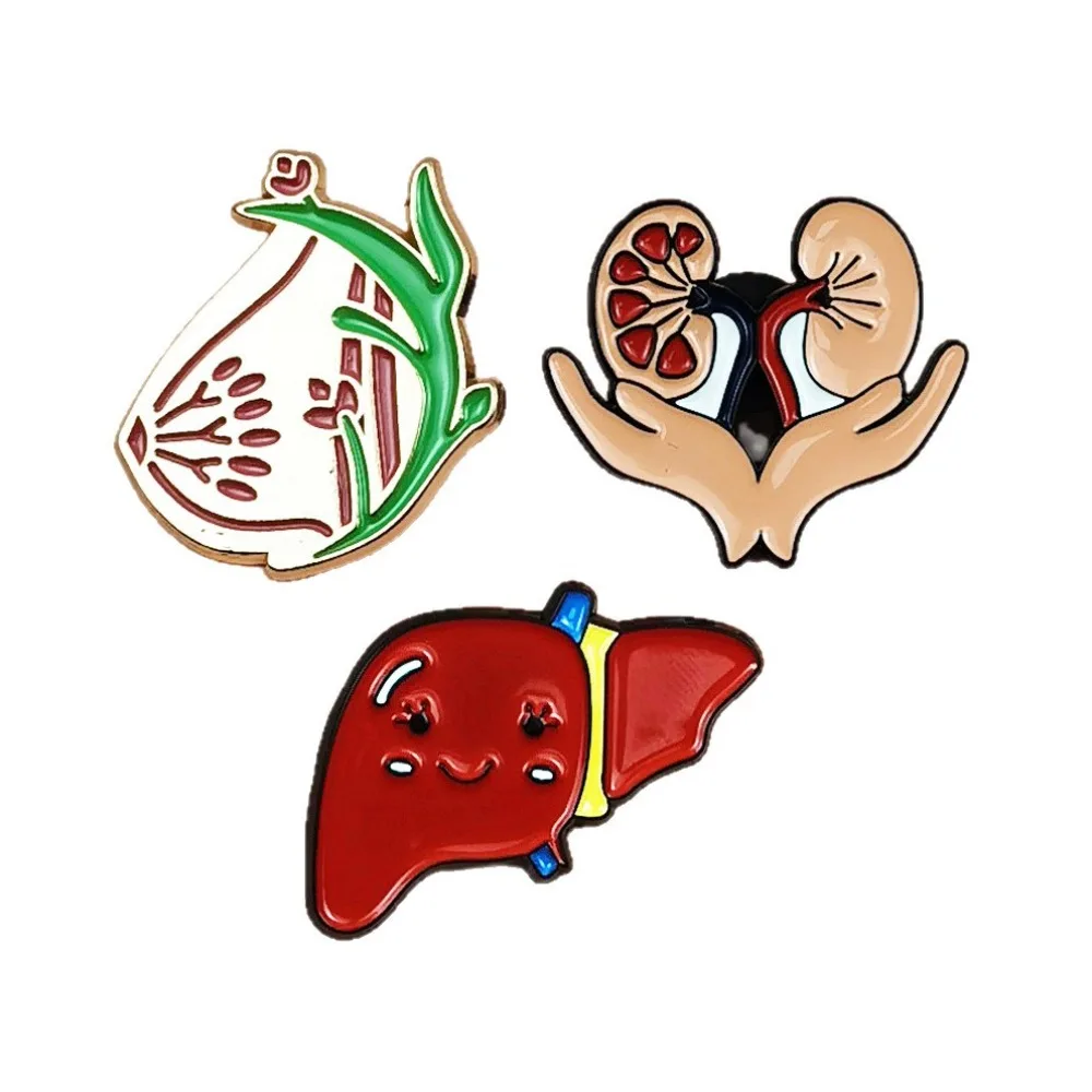 Cute Human Organ Anatomy Enamel Pin Kidney Lung Brooch Lapel Pins Medical Student Backpack Jacket Decor Biology Themed Gift