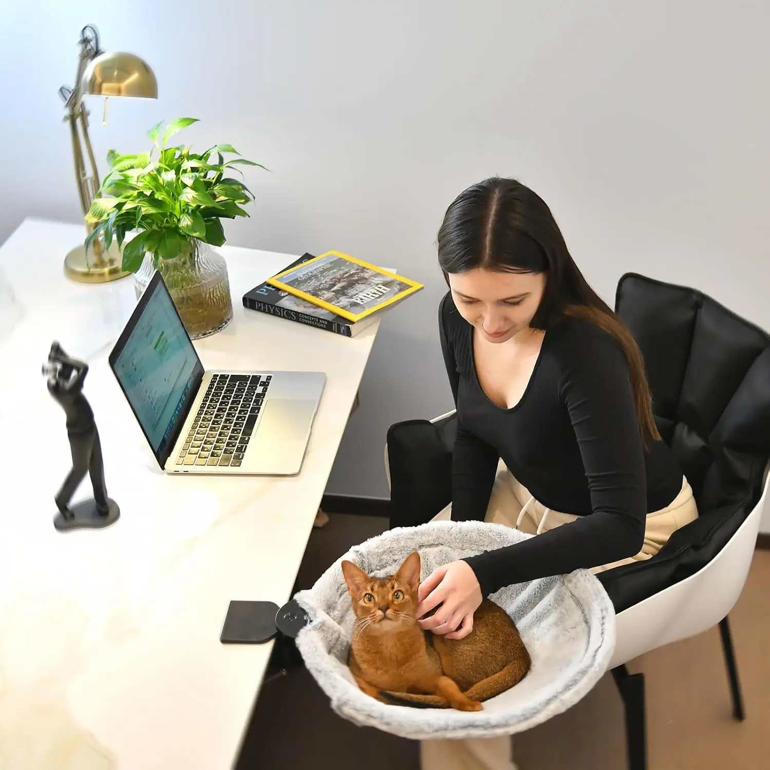 table bed cat hammock cat nest office computer book desktop hanging bed hanging bracket cat nest