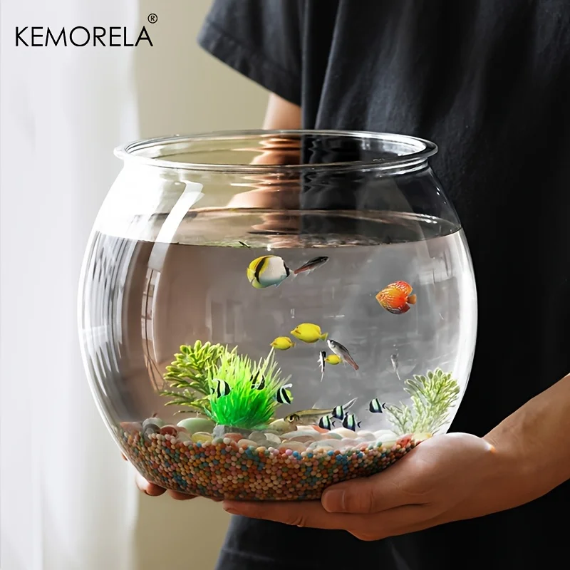 #20 Trending Desktop Fish Bowls Right Now