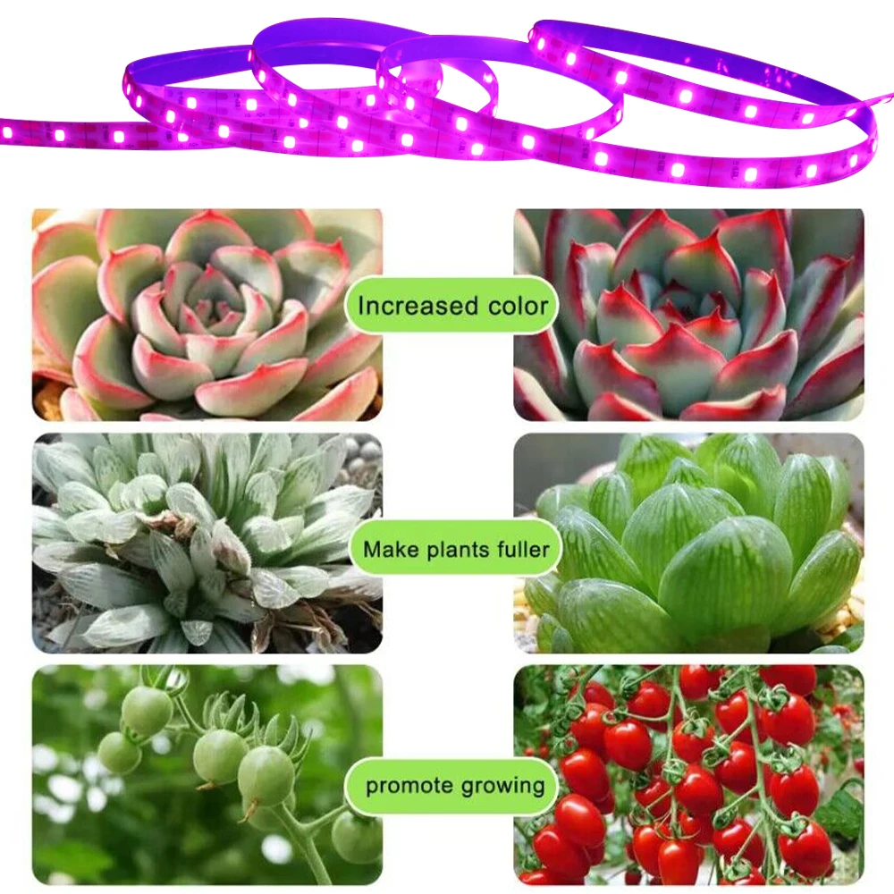 5V 2835 USB LED Grow Strip Light Full Spectrum Plant Growing Tape Lamp for Vegetable Flower Greenhouse Cultivo 1M 2M 3M 4M 5M