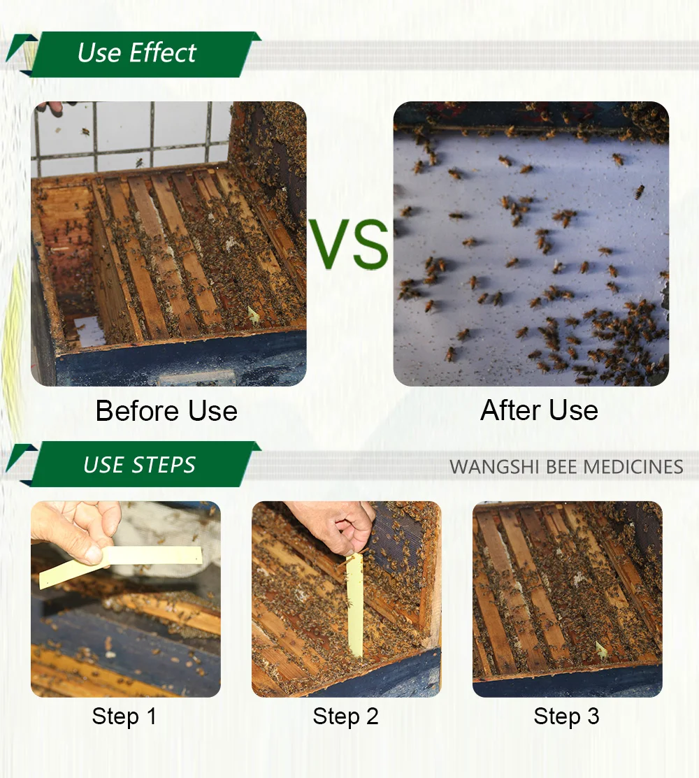 Wangshi manjing 20 tiras flumetrina apicultura varroa tratamento apicultura suprimentos de apicultura medicina para abelhas