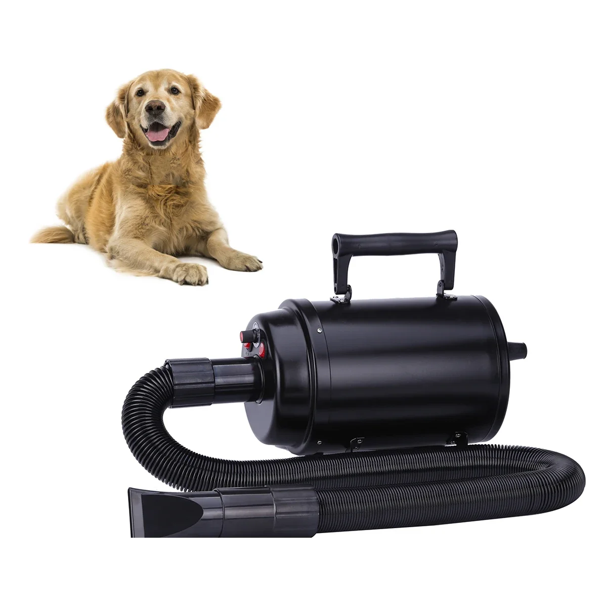 Water Blow Dryer for Dog and Cat, Stepless Speed Blower, Pet Beauty Dryer