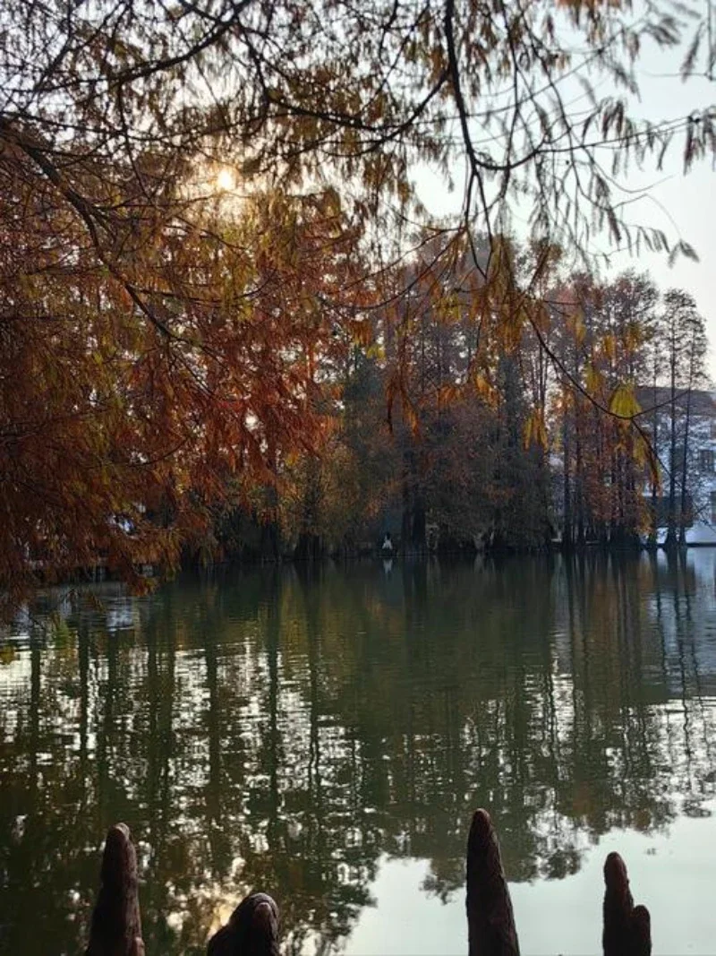 

For Tesla Model 3 Y X S Automotive Paint Repair Pen Pearl White Clearcoat Pen Accessories Black White Red Blue Gray Silver