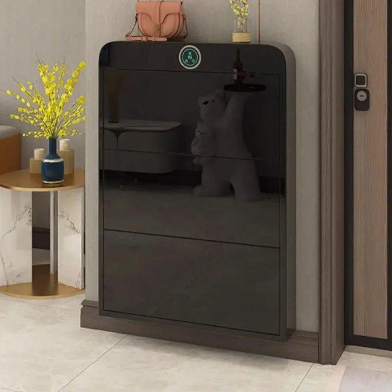 

Interior Storage Shoe Cabinets Black Luxury Living Room Stand Closet Dorm Shoe Cabinets Mobile Fashion Sapateira Salon Furniture