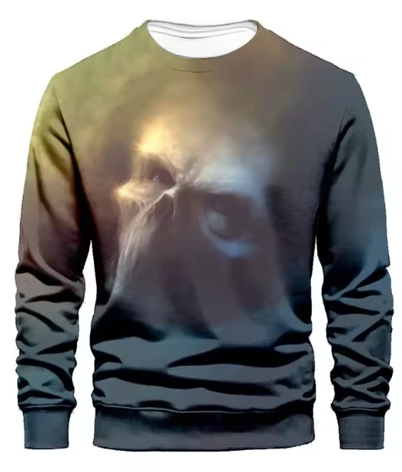 

Spring utumn New Fashion Brand Men's Sweatshirt Trendy Color-Blocked Loose Round Neck Long Sleeve T-shirt Top Casual。