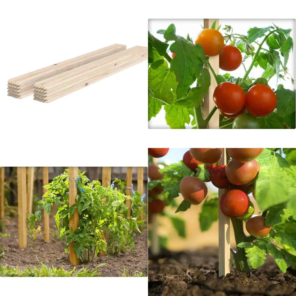 

50 садовых опорных колышек для растений - высотой 4 фута