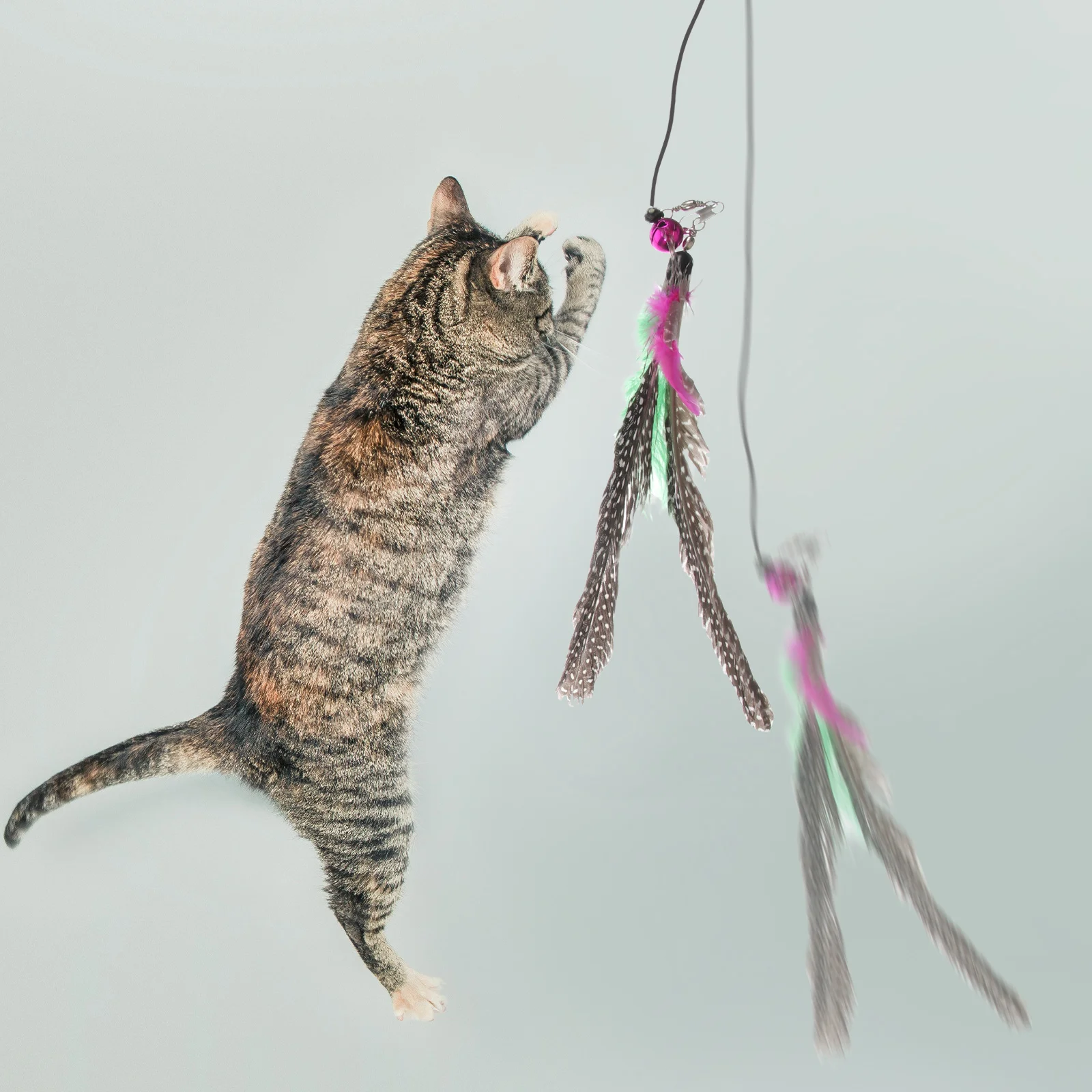 

Kitten teaser Cat dangler rod Kitten bell Cat teaser Kitten dangler rod