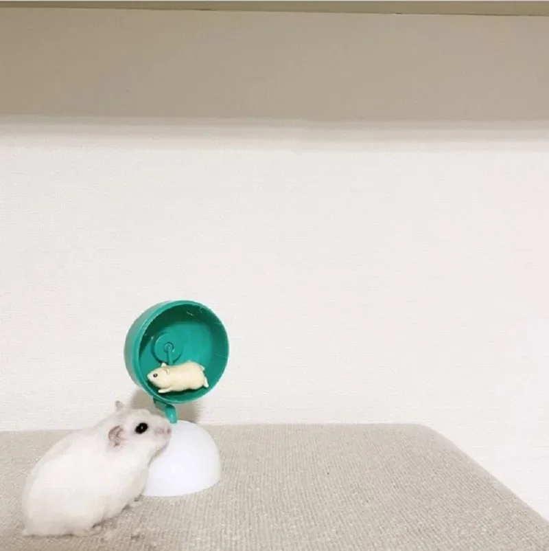 IP4 capsule toys cute kawaii Spin, spin! Hamster & Wheel colorful round stand rodents pets mascot assembly gashapon figures