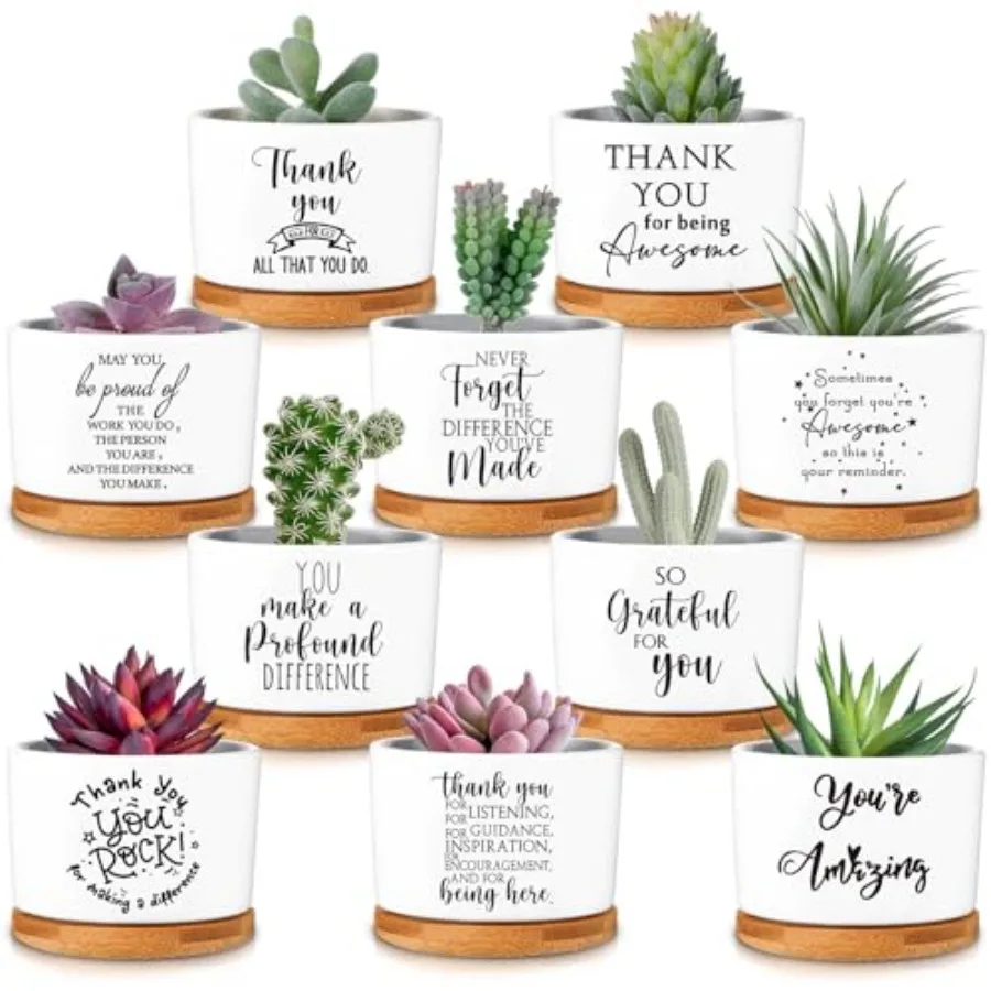 

Набор подарков для сотрудников: суккуленты в керамических горшках с бамбуковыми подставками для женщин