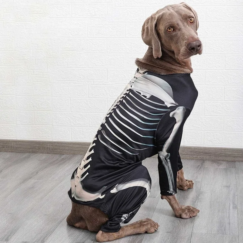 Sweat-shirt à capuche pour chiens, différentes tailles, Costume squelette d'animaux compagnie, vêtements Photo pour pull à