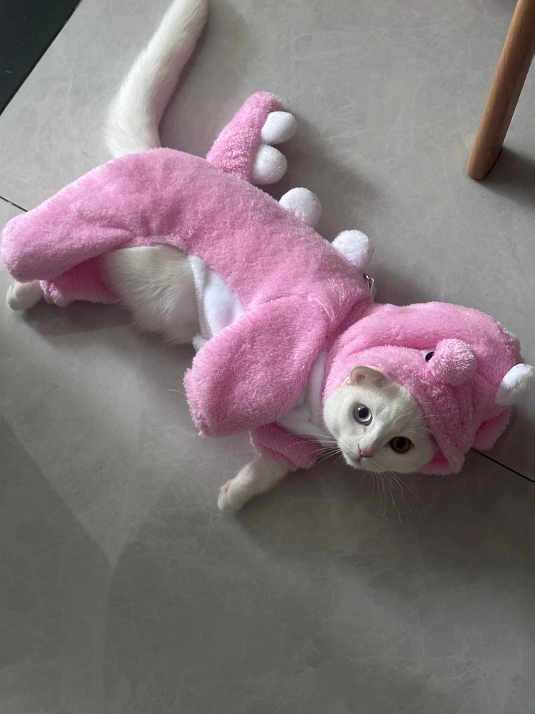 Adorable Winter Fou…