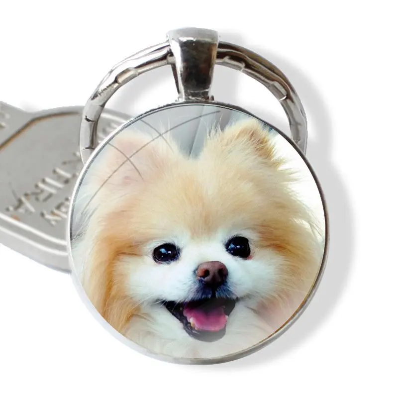 Keychain Handmade Glass Cabochon Key Ring Holder Pendant Key Chains Pomeranian dogs dog