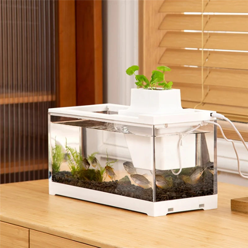 ABZV-Desktop Aquarium Fish Tank LED Lighting Silent Filter Feeding Aquarium For Office And Home