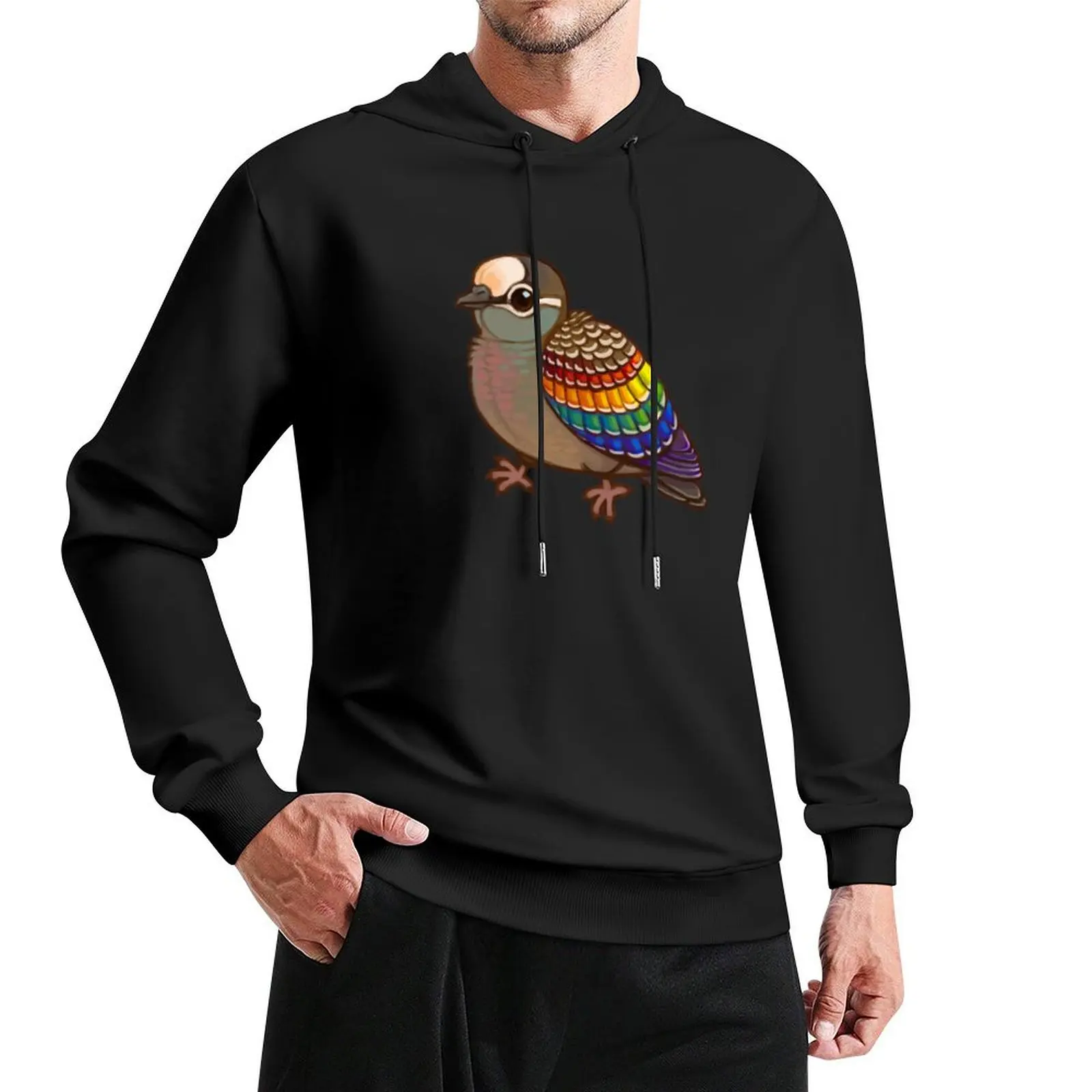 

Pride Birds: Common Bronzewing Pullover Hoodie korean style clothes autumn mens hoodie