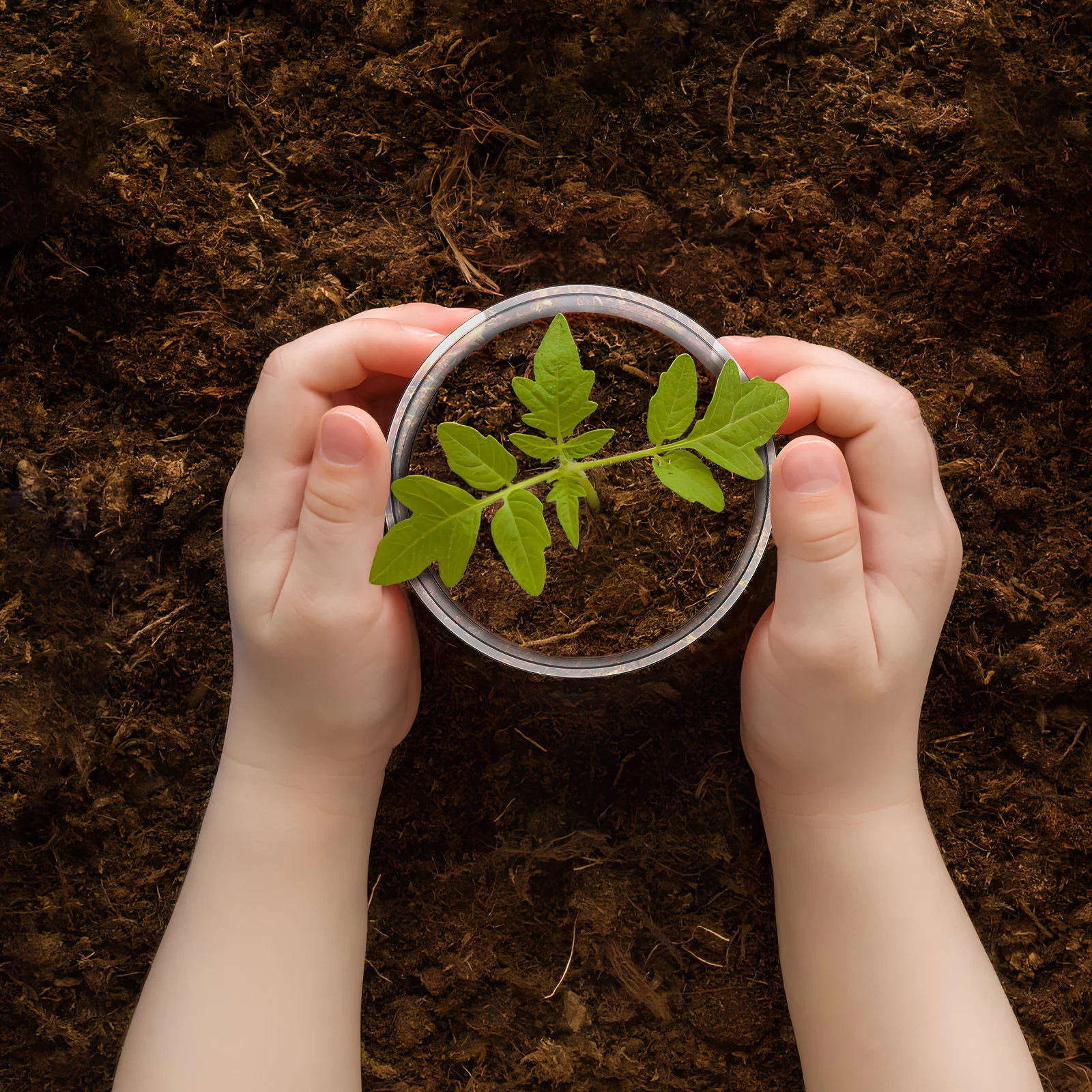 

10Pcs Nursery Pot Clear Plant Pots Transparent Drainage Holes Lightweight Plastic Planter for Indoor Outdoor Gardening Plants