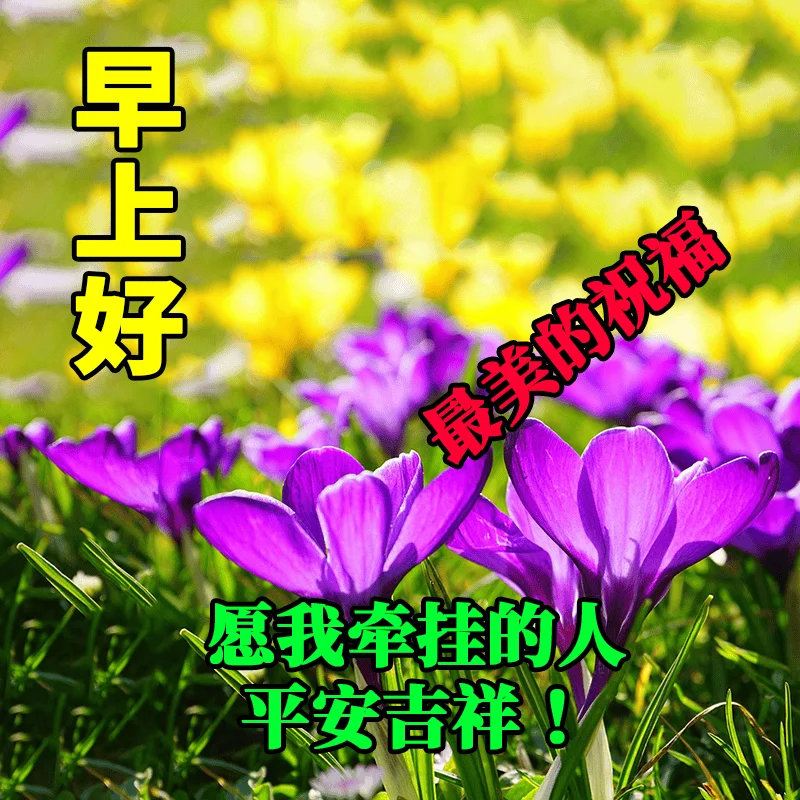 

YJ01 Wi-Fi умные очки HD 1080P спортивные солнцезащитные очки с камерой и аудио-видео записью для занятий спортом, пеших прогулок, езды на велосипеде, рыбалки, разведки