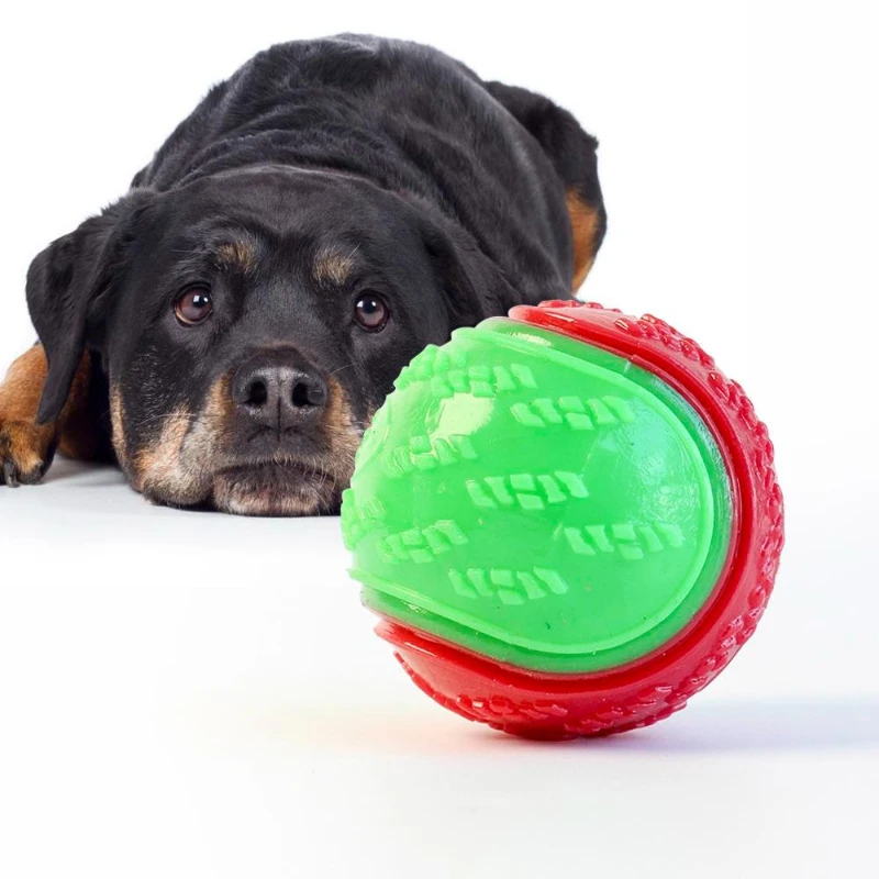 Thumbnail 4 - #75 Trending Dog Balls Right Now