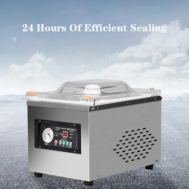 Table Top Dz260 Vacuum Packaging Machine Single Chamber Food Vacuum Sealing Machine Vacuum Sealer