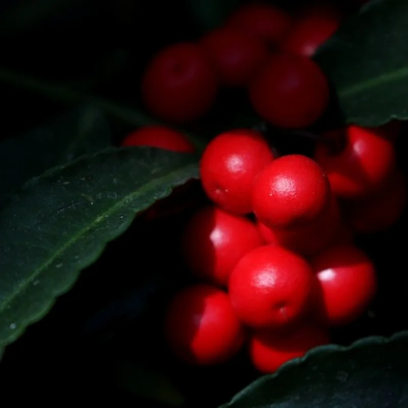 

Полный набор деталей для обновления HSP 94111 для HSP RC 1:10 94111 94108 94110 Гусеничный автомобиль Monster