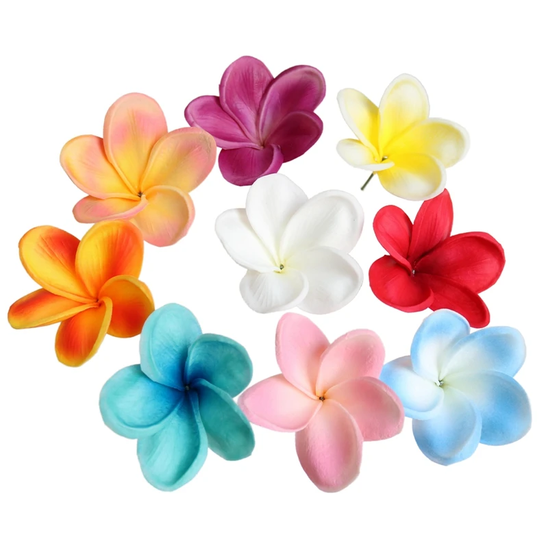 Branche De Fleurs De Frangipanier Roses Avec Feuilles Vertes Isolées